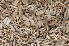 biomass boilers Coxheath